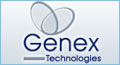 web developers hamilton new zealand, website developers hamilton new zealand